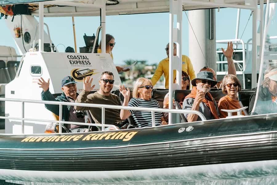 Mooloolaba: Whale Watching Cruise - Key points to know before you book