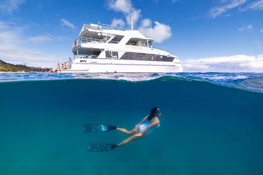 Moreton Island: Dolphin & Tangalooma Wrecks Snorkel Cruise - Five things to know before booking