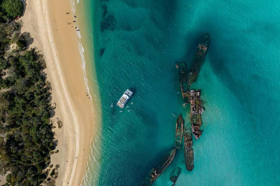 Moreton Island: Dolphin & Tangalooma Wrecks Snorkel Cruise - The Tangalooma Wrecks snorkel