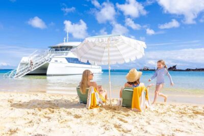 Moreton Island: Dolphin & Tangalooma Wrecks Snorkel Cruise