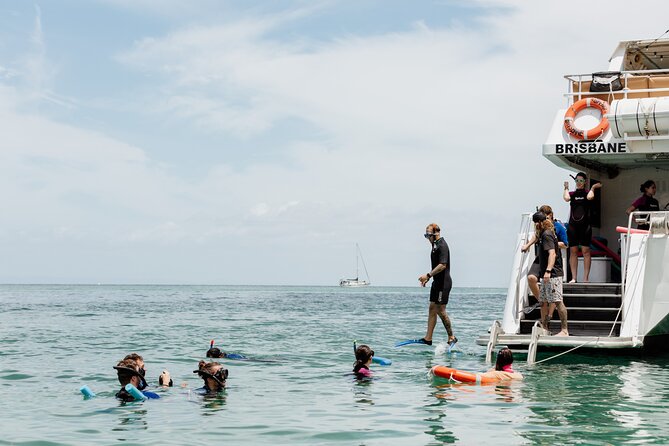 Moreton Island Eco Marine Safari Cruise and Snorkel - Key points before you book