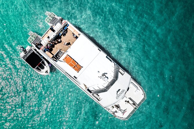 Moreton Island Eco Marine Safari Cruise and Snorkel - Why this Moreton Island day works so well