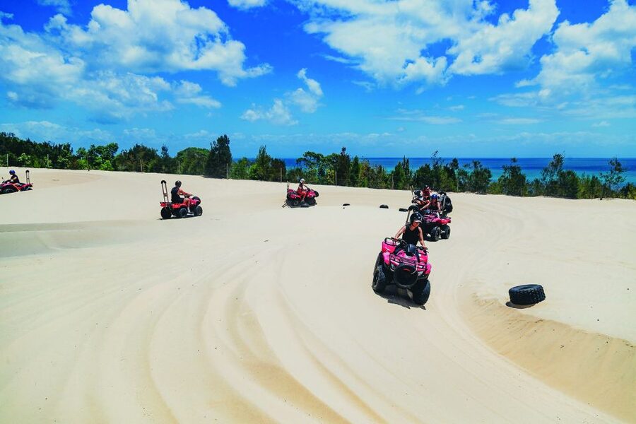 Moreton Island: Tangalooma ATV Quad Bike & Dolphin Feeding - Should you book the Tangalooma ATV and dolphin day?
