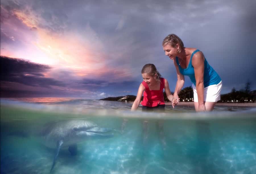 Moreton Island: Tangalooma ATV Quad Bike & Dolphin Feeding - Tangalooma Resort gives you a comfortable island base