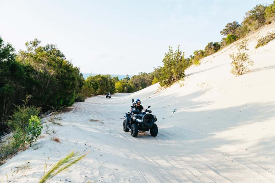 Moreton Island: Tangalooma Day Trip with ATV Quad Bike Tour - Lunch is flexible, but budget with care