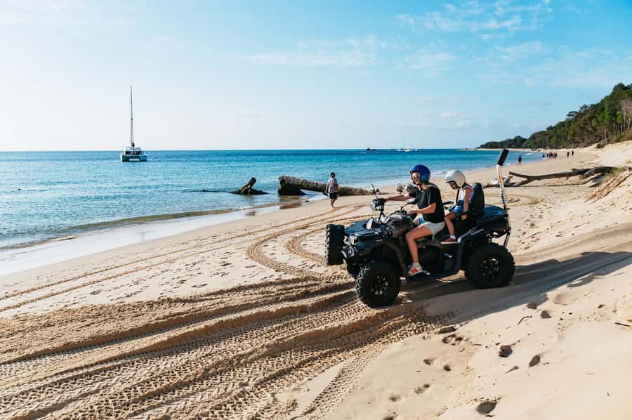 Moreton Island: Tangalooma Day Trip with ATV Quad Bike Tour - Plan the afternoon around the 3:15pm dolphin presentation