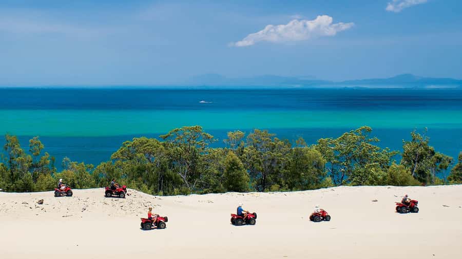 Moreton Island: Tangalooma Day Trip with ATV Quad Bike Tour - Who will enjoy this most?