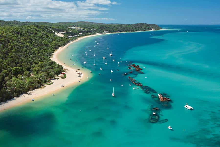 Moreton Island: Tangalooma Day Trip with Desert Safari - Sandboarding through Tangalooma Desert