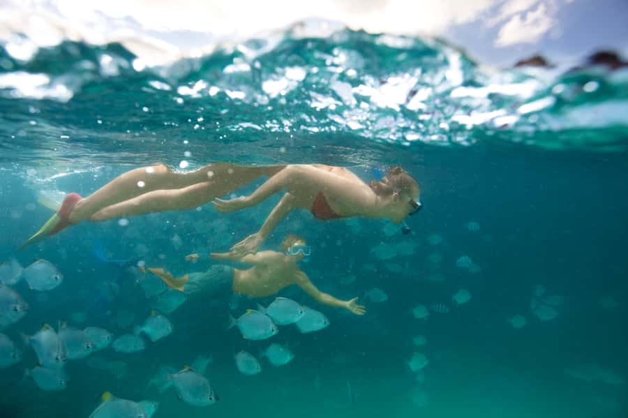 Moreton Island: Tangalooma Day Trip with Snorkeling Tour - From Brisbane to Moreton Island in 75 minutes