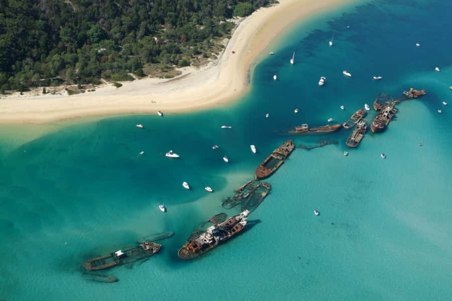 Moreton Island: Tangalooma Day Trip with Snorkeling Tour - The Tangalooma Wrecks are the main event