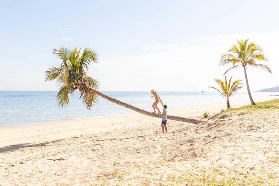 Moreton Island: Tangalooma Day Trip with Snorkeling Tour - What the water time really feels like