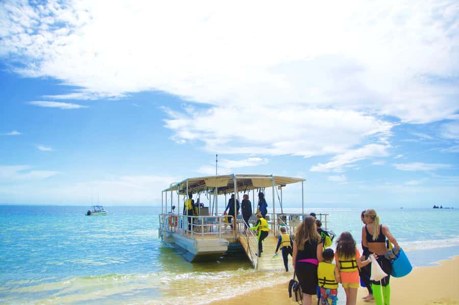Moreton Island: Tangalooma Day Trip with Snorkeling Tour - Who gets the best value at $119?