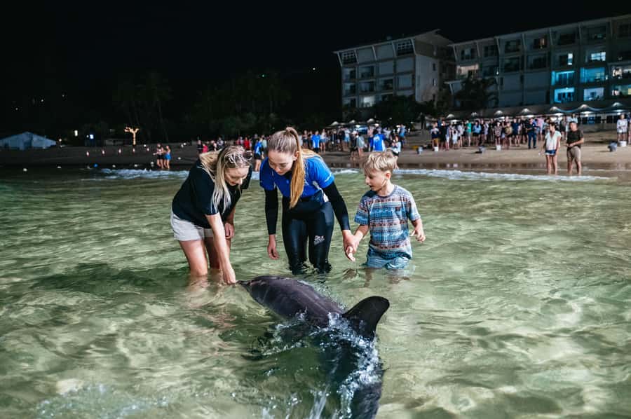 Moreton Island: Tangalooma Desert Safari and Dolphin Feeding - From Brisbane to Tangalooma in 75 minutes