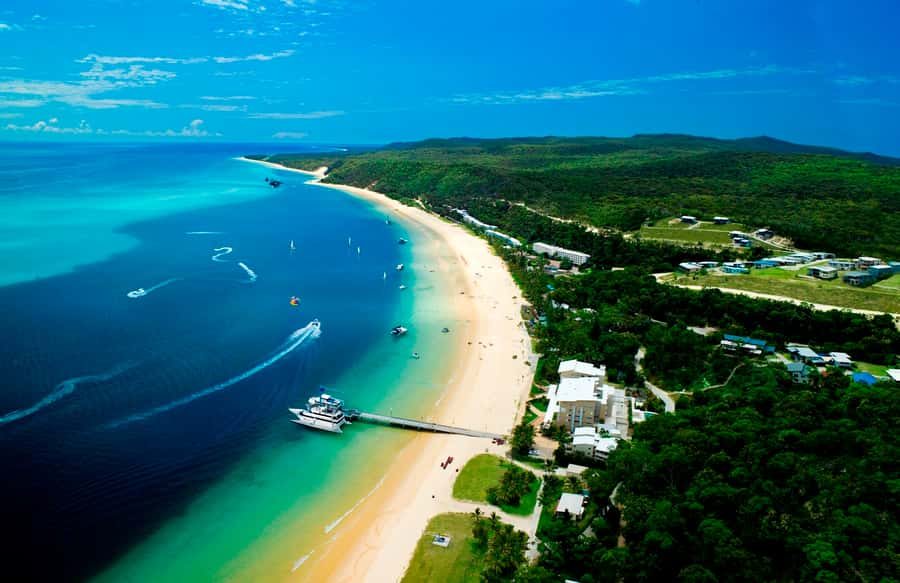 Moreton Island: Tangalooma Desert Safari and Dolphin Feeding - Is $162 good value?