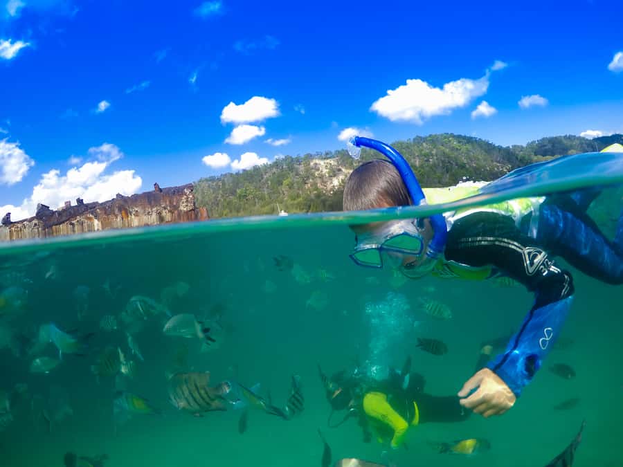 Moreton Island: Tangalooma Snorkeling Tour & Dolphin Feeding - Lunch, pools, and the long island pause