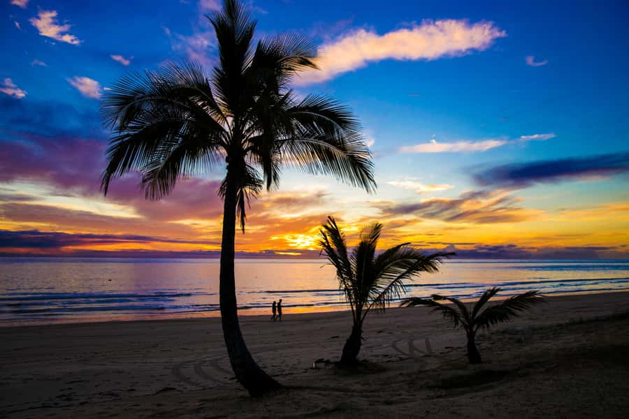 Moreton Island: Tangalooma Snorkeling Tour & Dolphin Feeding - Is $172 a fair price?