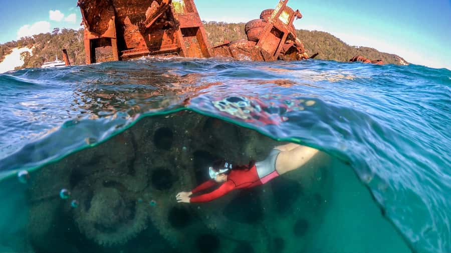 Moreton Island: Tangalooma Snorkeling Tour & Dolphin Feeding - The 75-minute crossing from Brisbane