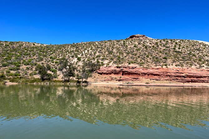 Morning Cruise on the Murchison River in Kalbarri (April to Nov) - Why this gentle river trip is worth your morning