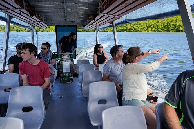 Morning Daintree Tour with River Cruise from Port Douglas - Morning tea with a sweet Queensland touch