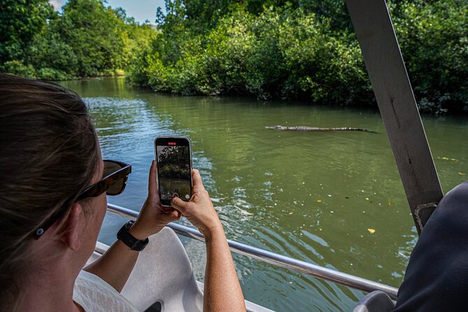 Morning Daintree Tour with River Cruise from Port Douglas - Who should book this Daintree tour?