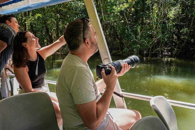 Morning Daintree Tour with River Cruise from Port Douglas - Practical tips for a smoother morning