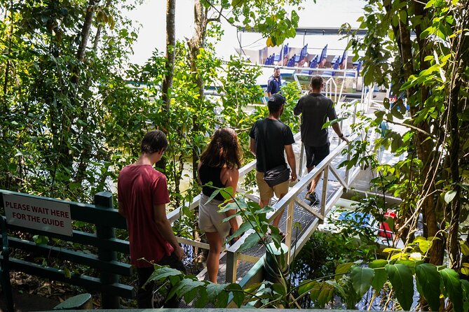 Morning Daintree Tour with River Cruise from Port Douglas - Cruising the Daintree River for crocodiles