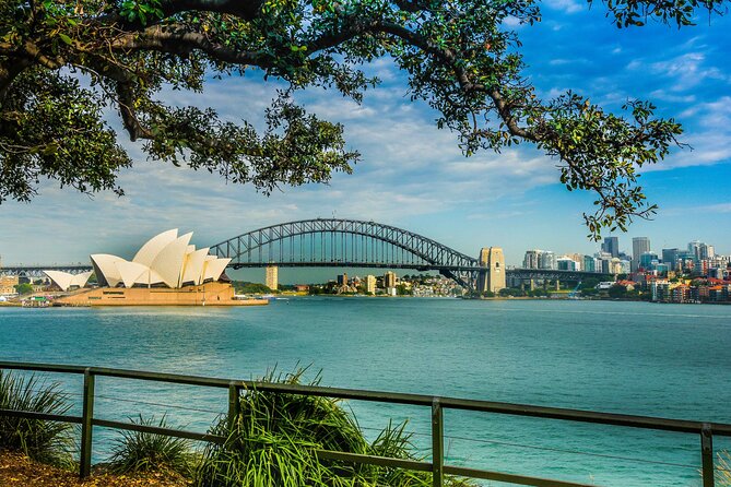 Morning or Afternoon Half-Day Sydney City Sightseeing Tour - Centennial Park and Paddington by vehicle