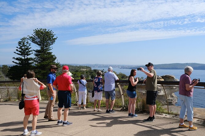 Morning or Afternoon Half-Day Sydney City Sightseeing Tour - Chinatown and the final stop at Darling Harbour