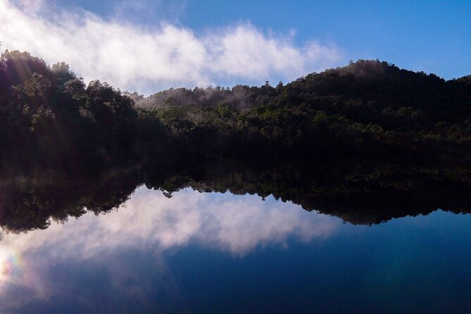 Morning World Heritage Cruise on the Gordon River from Strahan - Weather, comfort, and what to bring