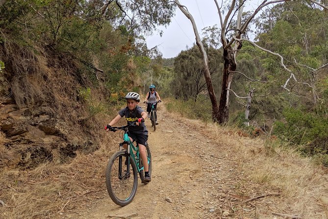 Mount Lofty Descent Bike Tour from Adelaide - An hour and a half with Australian animals