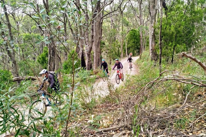 Mount Lofty Descent Bike Tour from Adelaide - What the $128.39 price really covers