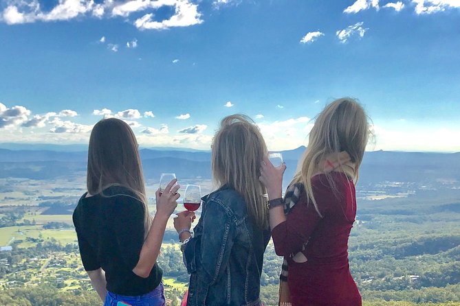 Mount Tamborine Wine Tasting Tour from Brisbane or the Gold Coast - What the small group adds