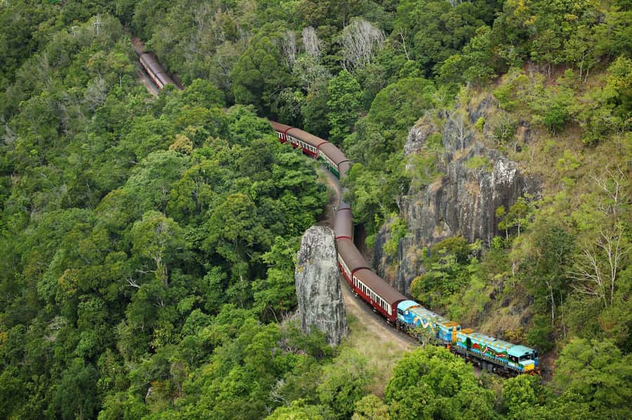 N. Queensland: Kuranda Rainforest Full-Day Tour - Five things to know before you book