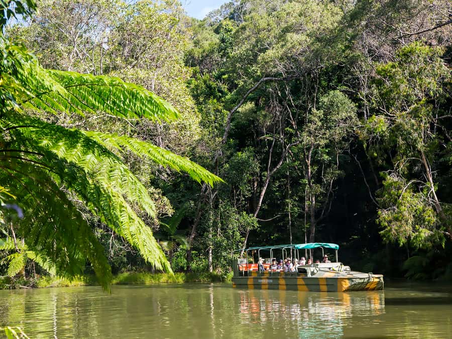 N. Queensland: Kuranda Rainforest Full-Day Tour - What the $206 price really buys you