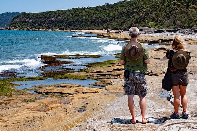 Nature and Wildlife: Australia in One Day - Private Tour - Berowra Valley National Park and the Aboriginal carvings