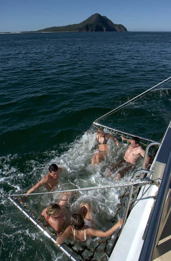 Nelson Bay: Dolphin Watch Cruise and Sail - Who will enjoy this cruise most?