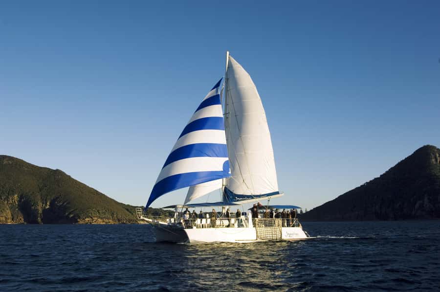 Nelson Bay: Dolphin Watch Cruise and Sail - Practical timing and packing advice