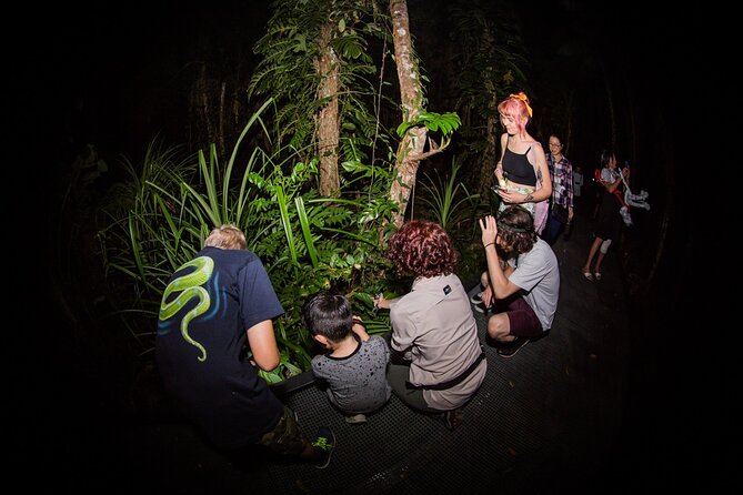 Night Walk in Cairns Botanic Gardens - Let's Go Buggin - How much photography help should you expect?