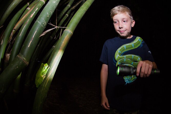 Night Walk in Cairns Botanic Gardens - Let's Go Buggin - Is $57.38 good value?