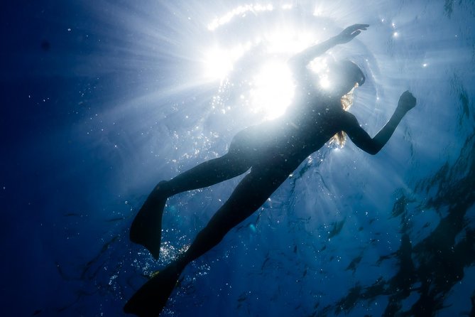 Ningaloo Reef Snorkel and Wildlife Adventure - Key points to know before you book