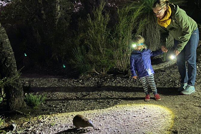 Nocturnal Wildlife Tour from Busselton - Key points before you book