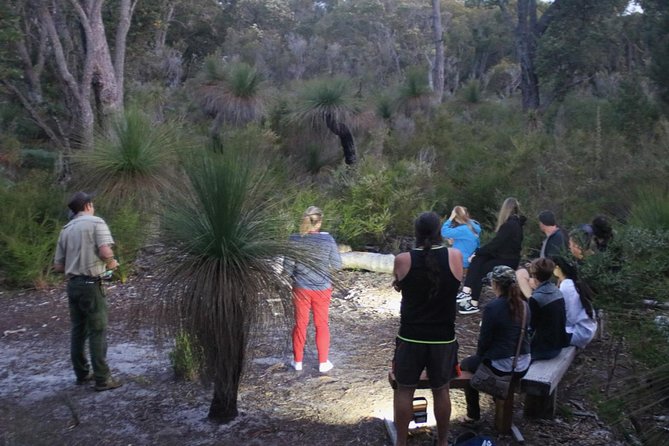Nocturnal Wildlife Tour from Busselton - Sitting quietly while the animals come out