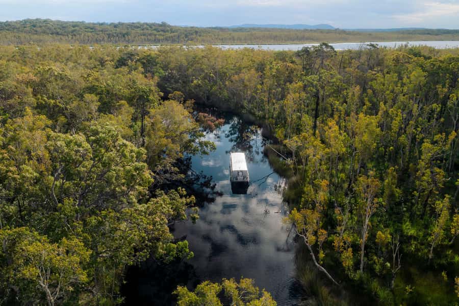 Noosa: Afternoon Cruise through the Noosa Everglades - Boarding the eco safari vessel