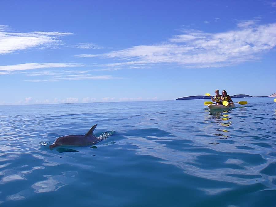 Noosa: Epic Ocean Kayak with Dolphins & 4WD Beach Adventure - The guides are the heart of the day