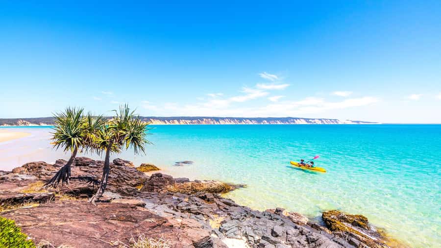 Noosa: Epic Ocean Kayak with Dolphins & 4WD Beach Adventure - Kayaking beside dolphins, turtles, and rays