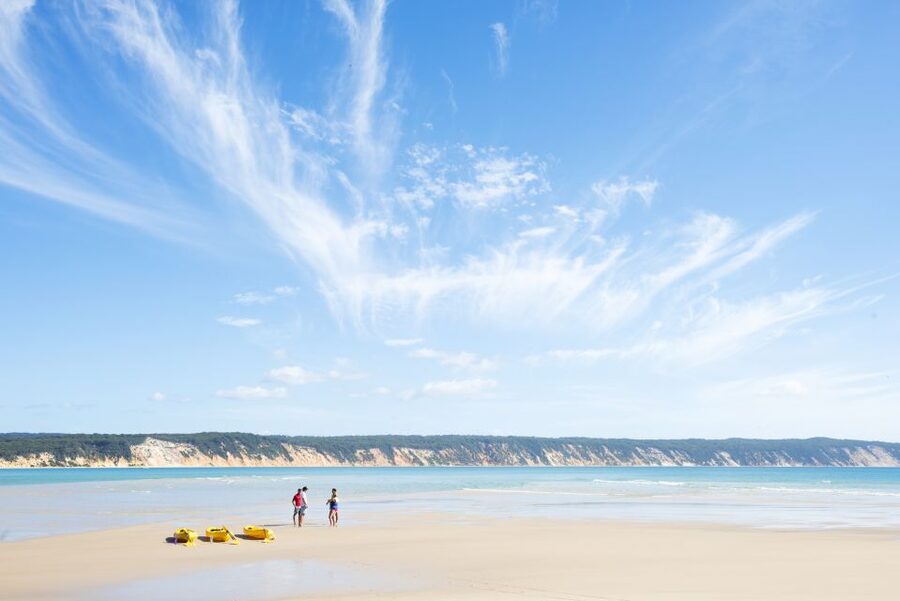 Noosa: Epic Ocean Kayak with Dolphins & 4WD Beach Adventure - Who will enjoy this Noosa adventure most