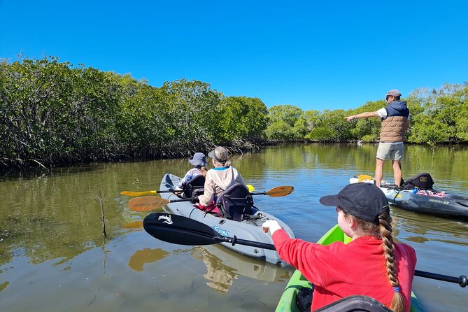 Noosa Everglade Kayak -South/Noosa End - Searching for Stingrays! - Key points before you book