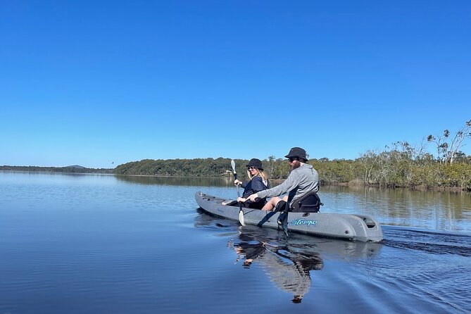 Noosa Everglade Kayak -South/Noosa End - Searching for Stingrays! - Searching for stingrays in shallow water