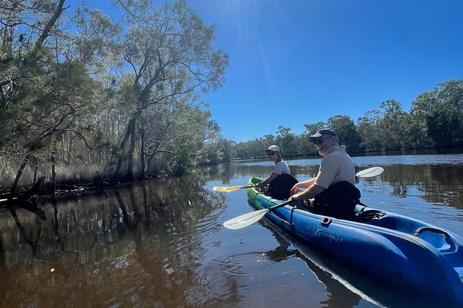 Noosa Everglade Kayak -South/Noosa End - Searching for Stingrays! - What the guides add to the experience