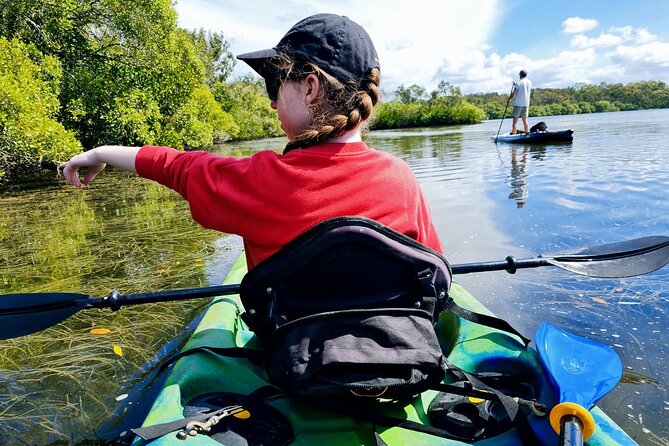 Noosa Everglade Kayak -South/Noosa End - Searching for Stingrays! - Starting at Lake Weyba